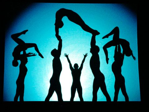 Acrobatics Shadowshow Gecko Live Entertainment