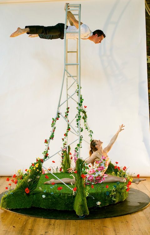 Carousel Summer Garden Gecko Live Entertainment