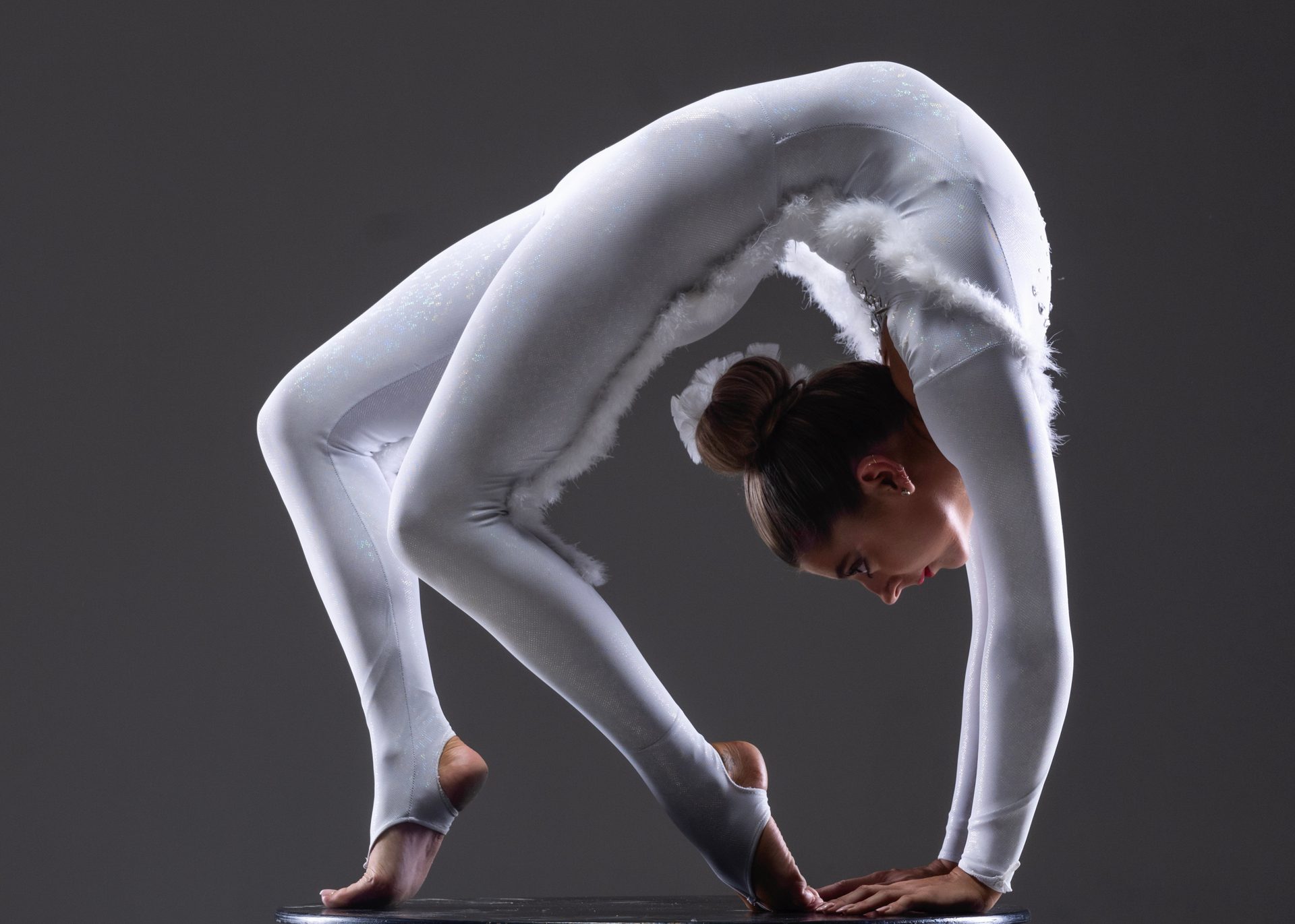 Contortionaists contortionists | Gecko Live
