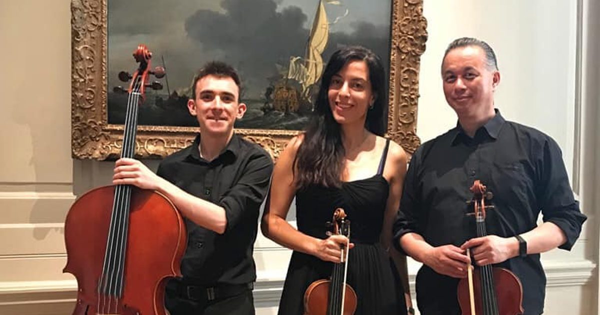 Strings Alive Coral Strings - London Entertainment | Gecko Live