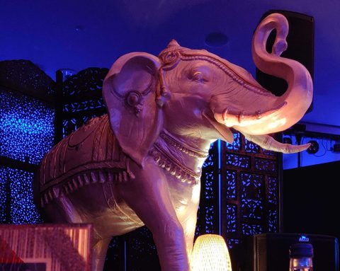 Elephant - Arabian Nights Themed Event