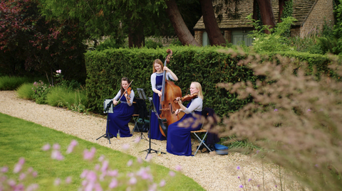 Emerald Strings Kin House Gecko Live Entertainment