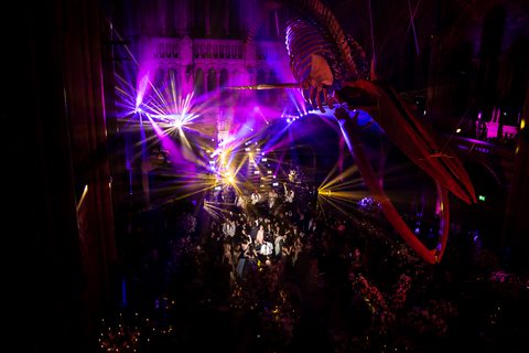 Excess Show Band London Luxury Showband Hire Gecko Live Entertainment