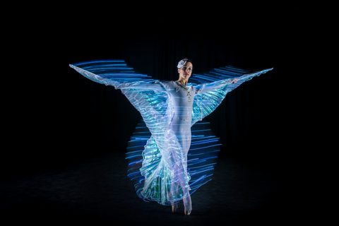 LED Ballerinas LED Light Shows Gecko Live Enteratainment