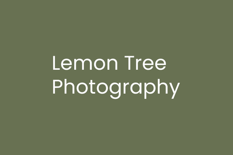 Lemon Tree Photography