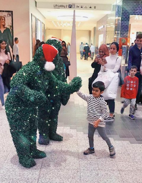 Living Hedges Christmas Hedges High Five Gecko Live Entertainment