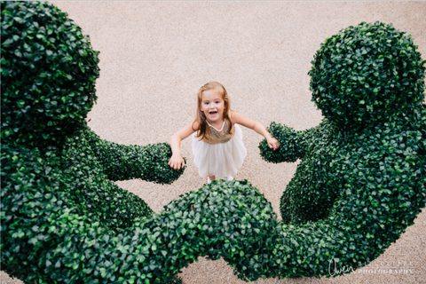 Living Hedges Fulham Palace 1 Gecko Live Entertainment