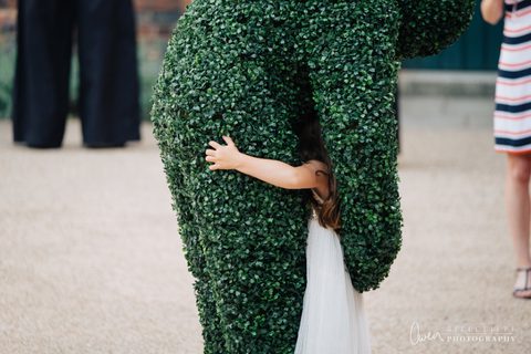 Living Hedges Fulham Palace 3 Gecko Live Entertainment