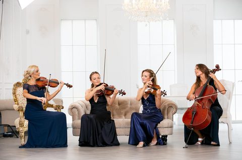 Sapphire Strings London String Quartet For Hire Gecko Live Entertainment