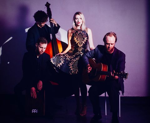 Shake Up Surrey Wedding Band