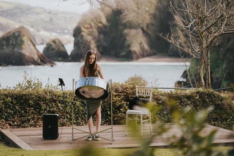 Solo Steel Pan P Layer Mica Gecko Live Entertainment