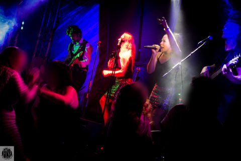 Whirl Party Band for hire Gecko Live Entertainment